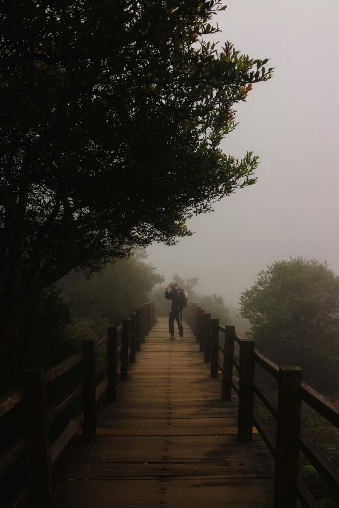 Best Morning Routine for Energy, Focus, and Mental Health