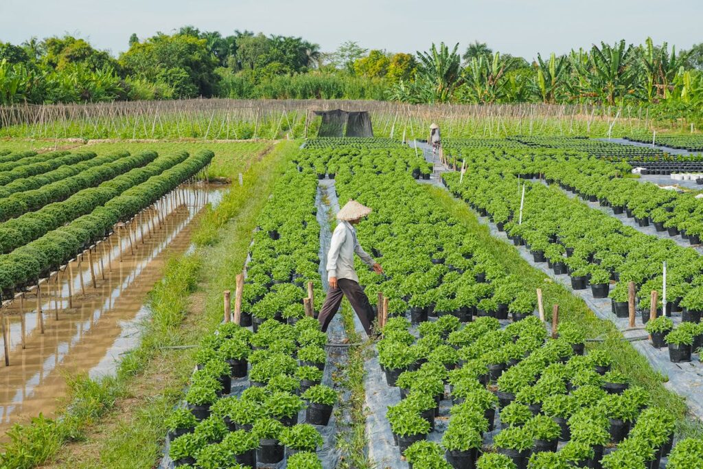 7 Core Principles of Agricultural Extension to Boost Farm Productivity