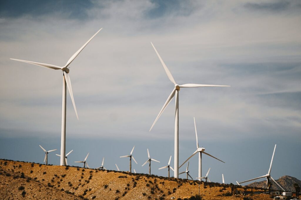 How Renewable Energy Is Shaping the Future of the World