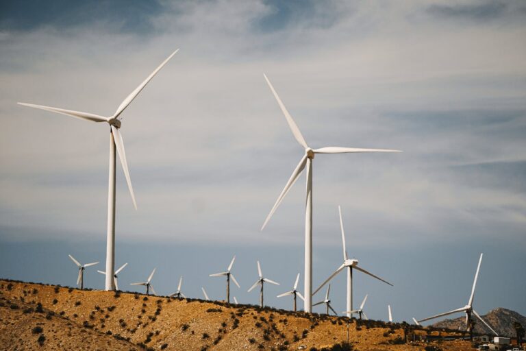 How Renewable Energy Is Shaping the Future of the World