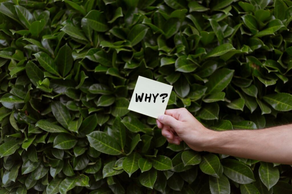Why Failure Is the First Step Toward Success