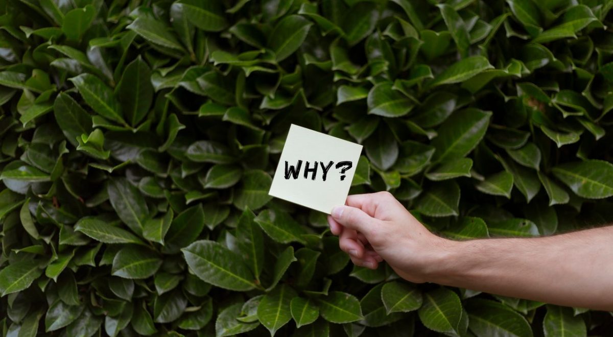 Why Failure Is the First Step Toward Success