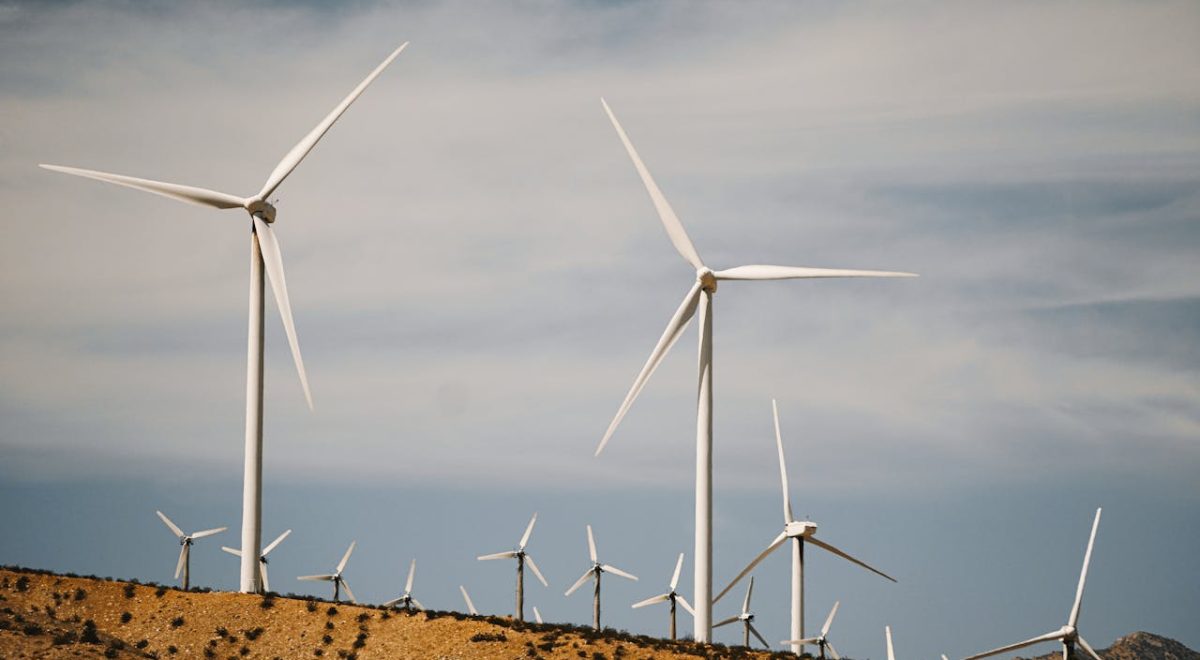 How Renewable Energy Is Shaping the Future of the World