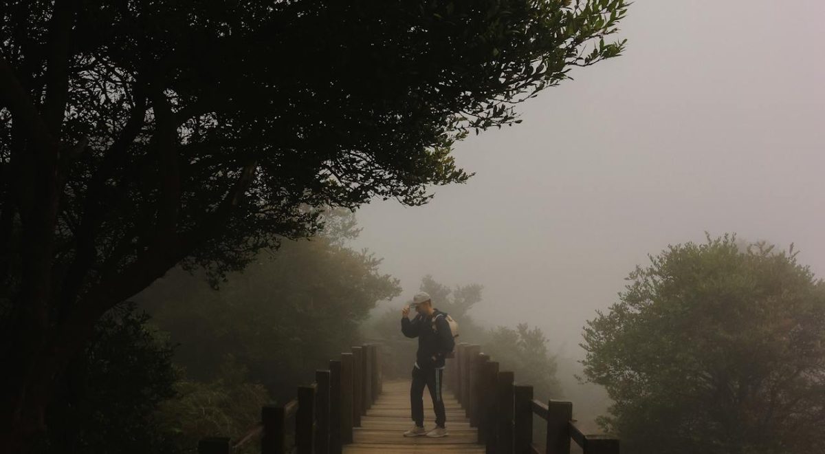 Best Morning Routine for Energy, Focus, and Mental Health