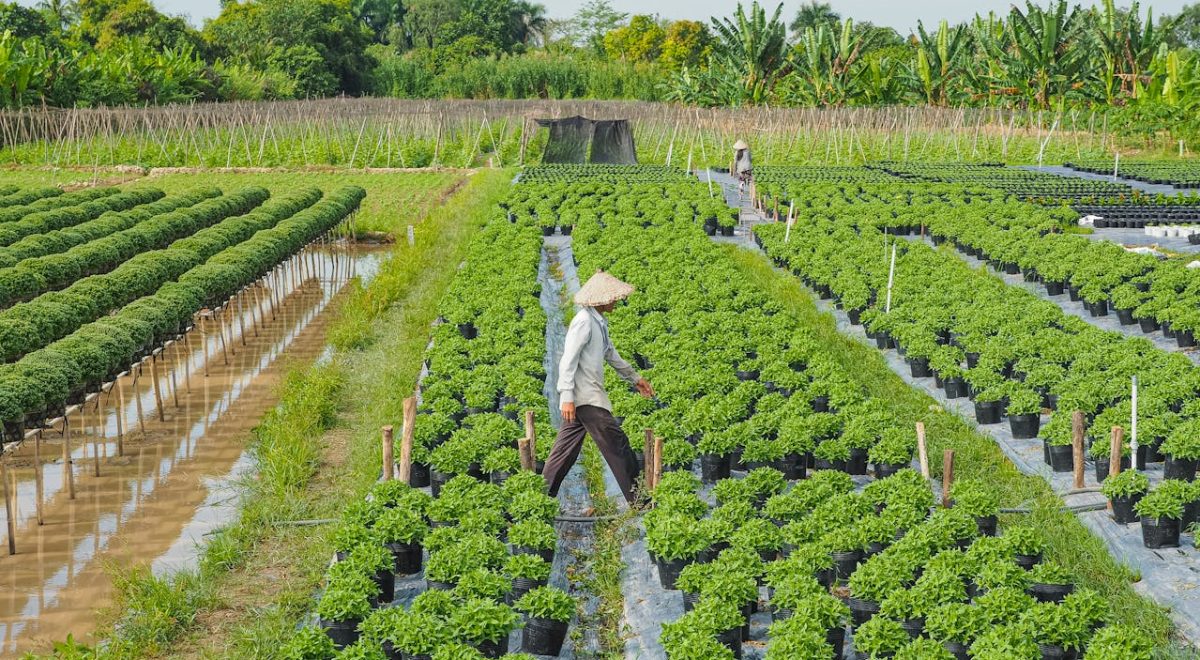 7 Core Principles of Agricultural Extension to Boost Farm Productivity